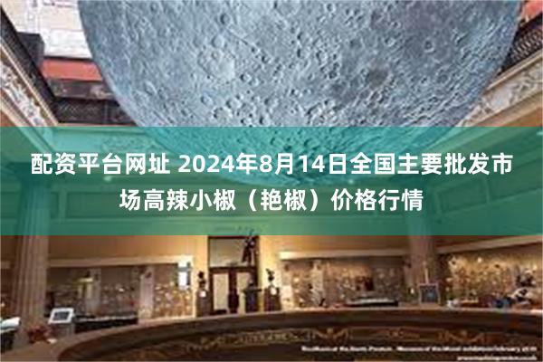 配资平台网址 2024年8月14日全国主要批发市场高辣小椒（艳椒）价格行情