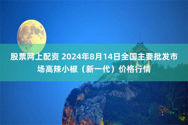 股票网上配资 2024年8月14日全国主要批发市场高辣小椒（新一代）价格行情