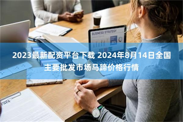 2023最新配资平台下载 2024年8月14日全国主要批发市场马蹄价格行情