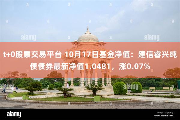 t+0股票交易平台 10月17日基金净值：建信睿兴纯债债券最新净值1.0481，涨0.07%