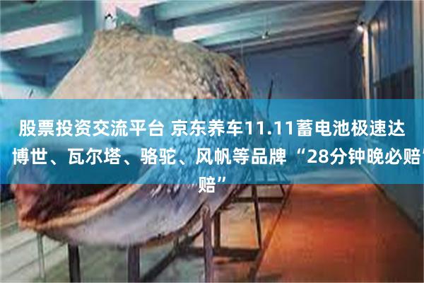 股票投资交流平台 京东养车11.11蓄电池极速达，博世、瓦尔塔、骆驼、风帆等品牌 “28分钟晚必赔”