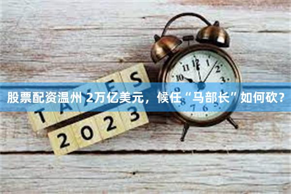 股票配资温州 2万亿美元，候任“马部长”如何砍？