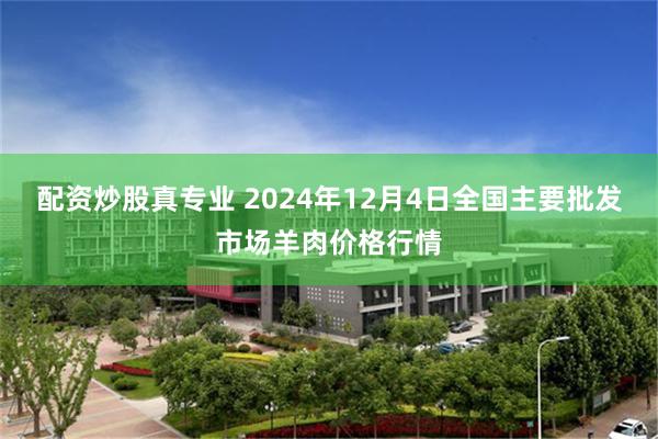 配资炒股真专业 2024年12月4日全国主要批发市场羊肉价格行情