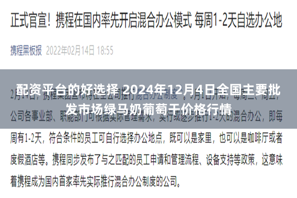 配资平台的好选择 2024年12月4日全国主要批发市场绿马奶葡萄干价格行情