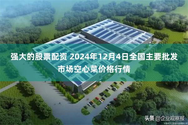 强大的股票配资 2024年12月4日全国主要批发市场空心菜价格行情