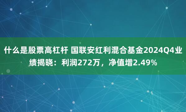 什么是股票高杠杆 国联安红利混合基金2024Q4业绩揭晓：利润272万，净值增2.49%