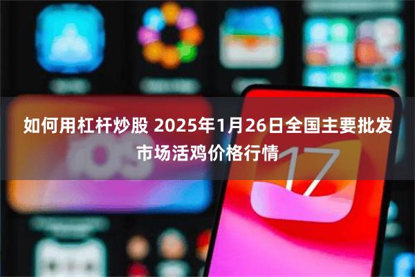 如何用杠杆炒股 2025年1月26日全国主要批发市场活鸡价格行情