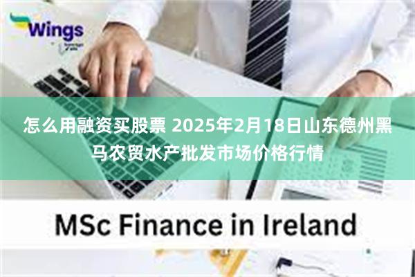 怎么用融资买股票 2025年2月18日山东德州黑马农贸水产批发市场价格行情