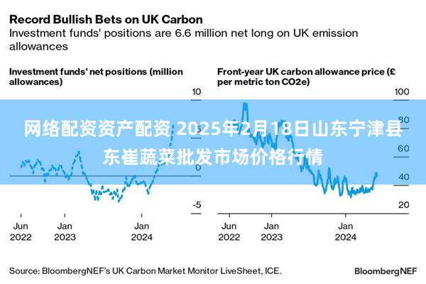 网络配资资产配资 2025年2月18日山东宁津县东崔蔬菜批发市场价格行情