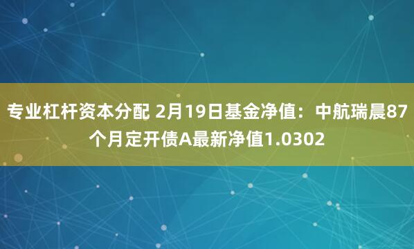 专业杠杆资本分配 2月19日基金净值：中航瑞晨87个月定开债A最新净值1.0302