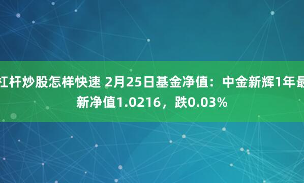 杠杆炒股怎样快速 2月25日基金净值：中金新辉1年最新净值1.0216，跌0.03%