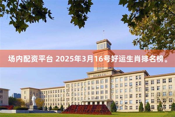 场内配资平台 2025年3月16号好运生肖排名榜。